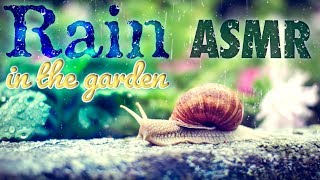 [ASMR Binaural] Raining in the Garden