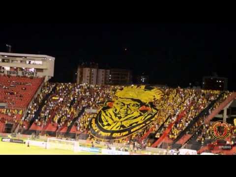 TJS - 2014 - Estreia do Bandeirão LAMPIÃO - (CASESTUDIO)