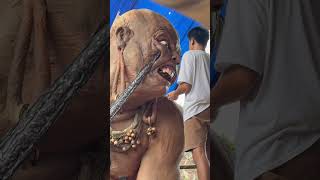Download lagu Ogoh-ogoh tampaksiring #ogohogohbali #ogohogohgianyar #ogohogoh mp3 Download lagu Ogoh-ogoh tampaksiring #ogohogohbali #ogohogohgianyar #ogohogoh mp3