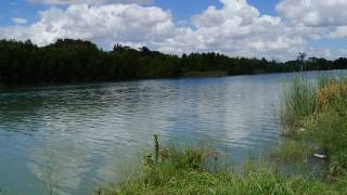 SANTIAGO JIMENEZ, SR....Todo Por Ti  (Por Ti Abandone A Mi Madre).