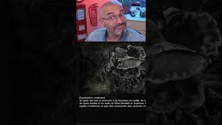 J'ai trouvé une touffe de champignons 🍄 dans un jeu vidéo #shorts