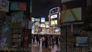 親知らず抜く先端恐怖症の日常 #先端恐怖症 #vlog #親知らず