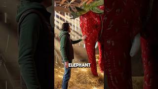 A Day on the Brainrot Farm