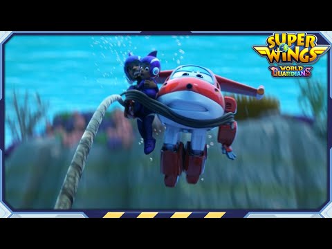 Witness21 Editor  2022 11 12