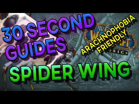 Spider Wing - 30 Second Guides - Naxxramas