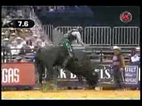 Wiley Petersen VS Black Mamba