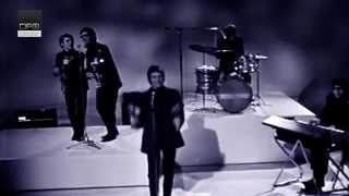 The Manfreds - The Hits.......