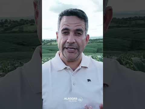 AL RURAL DESTAQUES PROGRAMA 03 DE JULHO 2026 FACTUAL #alagoasrural #campi #massai #canadeacucar