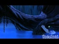 Pocahontas You Killed Him