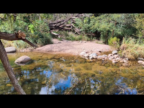 Bajada al arroyo Benítez #Cortaderas #San Luis #Argentina #travel #turismo #nature #naturaleza  