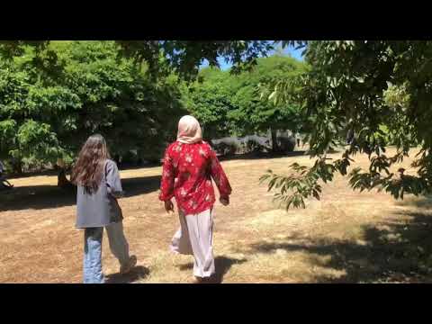 Lavandula Swiss Italian Farm