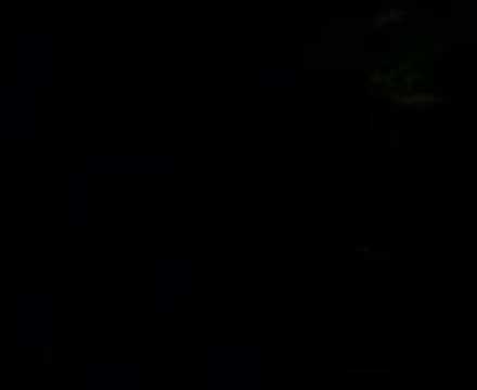 Bass Cemetery Video 3