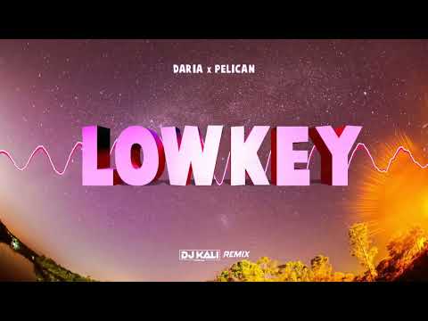 DARIA x PELICAN - LOWKEY (DJ KALI REMIX)