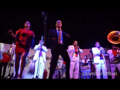 Banda Cachanilla - Toro Mambo En Vivo 2013