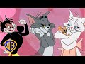 Tom Jerry Will You Be My Valentine Valentine S Day Classic Cartoon Compilation Wbkids​