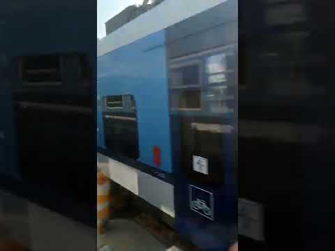 Michal Tučný????Koukám,jak celá země vstává ????#cover#