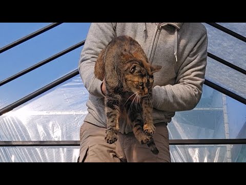 드디어 카오의 몸무게를 알았다