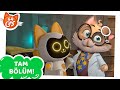 44 Kedi TAM BÖLÜM Aida Robot Kedi Sezon 2 Bölüm 16