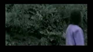 Celine Dion - Fais ce que tu voudras 1986