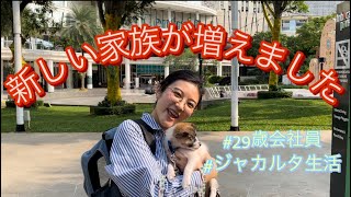 ジャカルタCentral Park Mallってどんな感じ？Dog Friendlyなモールを愛犬と共にご紹介！