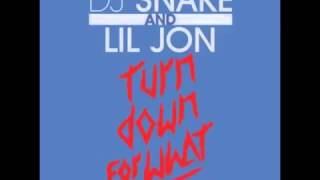 Turn Down For What   Lil Jon Ft  Juicy J, 2 Chainz, French Montana, Pitbull &amp; Ludacris MegaMix