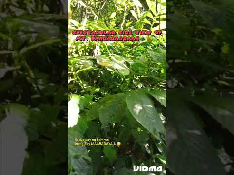 Viral Mt. Pandadagsaan (White Peak), New Bataan, Davao de Oro, Philippines| Maribeth Cabuñas #nature