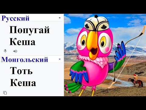 Parrot Kesha in different languages ​​meme