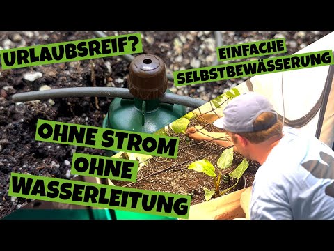 Blumat ! Pflanzen gießen leicht gemacht | Automatische Pflanzenbewässerung ohne Strom  | Tutorial