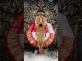Kolhapur Mahalaxmi Navratri Status First Day 2022 WhatsApp Status 2022 Mahalaxmi