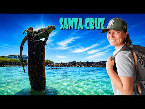 Santa Cruz Island, Galápagos - My Experience and Things I Wish I knew before to Go