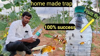 Fruit fly || how to make fruit fly traps in home| easy way to control insects |organic farming traps