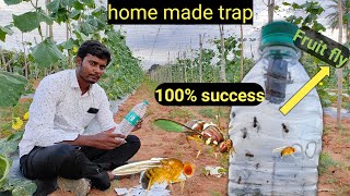Download lagu Fruit fly || how to make fruit fly traps in home| easy way to control insects |organic farming traps mp3