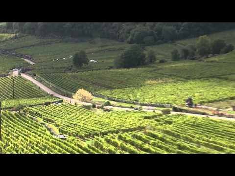Review Rally France Ford WRC 2012