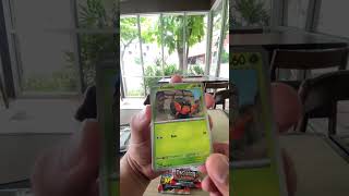 Pack-a-Week | LUCK OF THE DRAW EP.9 #pokemon #pokemontcg #pokemoncommunity #pokemoncards