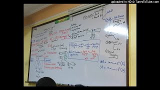 28) Dr. Wael Salah concomitany squint ,amblyopia