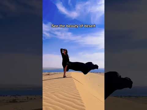 4 best things to do in Egypt 🏜