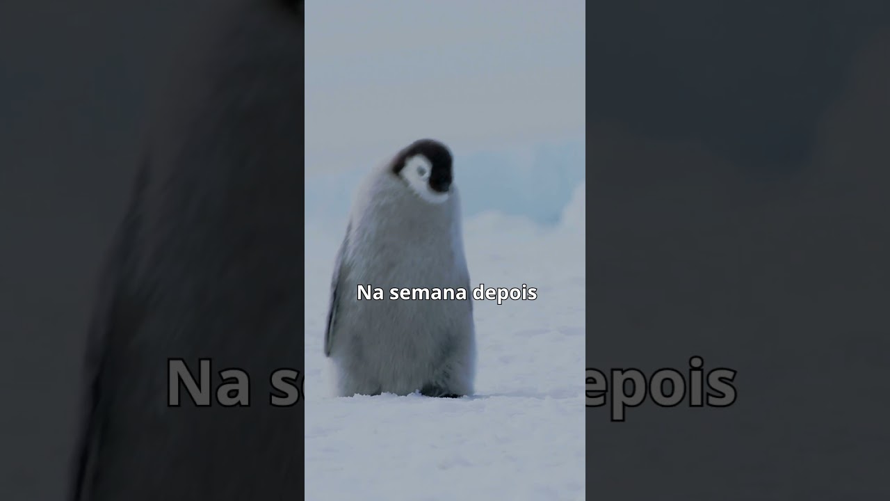 Antes vs Depois do Natal