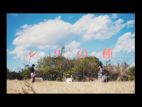 Lucie,Too - シワの種 (Official Music Video)