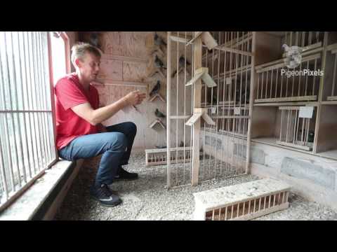 Nat. Winnaars ZLU 2017 - Mont de Marsan: Ed Maat (with English subtitles)