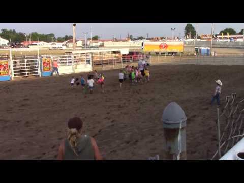 2016  DAVE MARTINS BULL MANIA