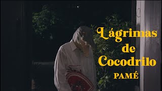 PAMÉ - LÁGRIMAS DE COCODRILO (official lyric video)