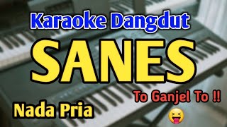 Download lagu SANES - KARAOKE || NADA COWOK || Denny Caknan || Audio HQ || Live Keyboard mp3
