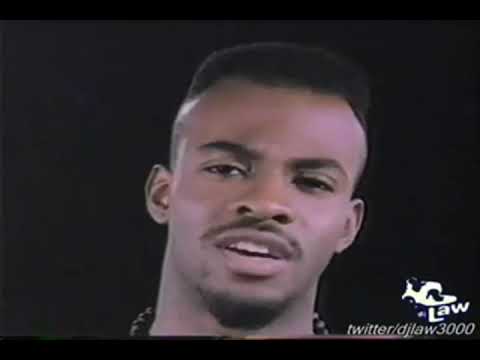 Maestro Fresh Wes feat  D Shan