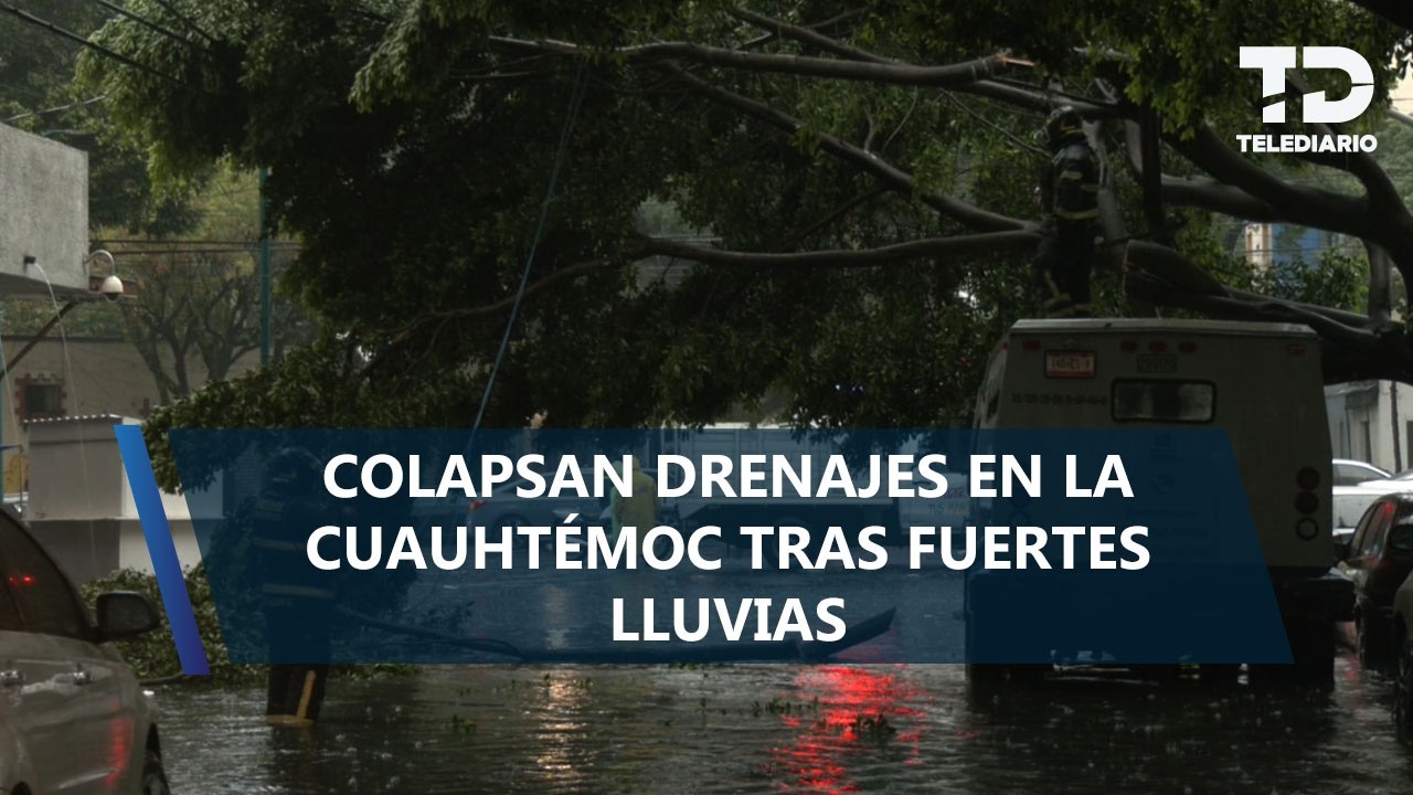Lluvias provocan caos en la colonia Doctores; árboles y drenajes colapsan