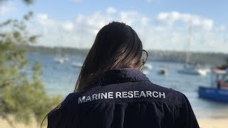 Behind the Scenes | Graduate Tour | Marine Scientist