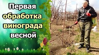 Чем опрыскать виноград весной от клеща
