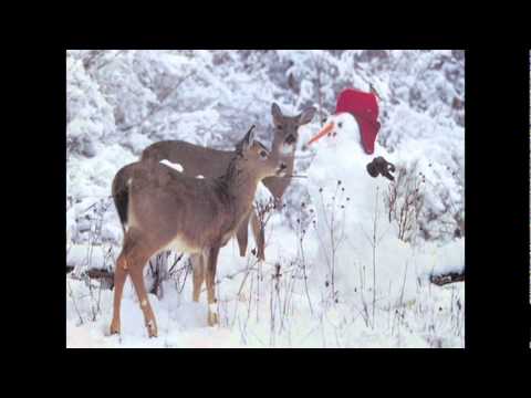 IARNA SPUNE POVESTI MEREU PENTRU TINE-MARCEL PAVEL.mpg