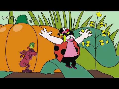 PETIT POILU - 1 Heure - Compilation #01