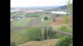 preview picture of video 'Flying Fox near Riwaka NZ'