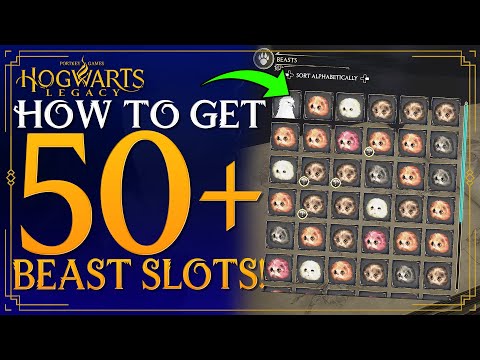 Hogwarts Legacy - How To Get 50+ Beast Inventory Slots Guide / How To Get More Inventory Slots